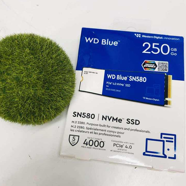 250 GB SSD (เอสเอสดี) WD BLUE SN580 - PCIe 4x4/NVMe M.2 2280 ใช้งานปกติ ประกันยาว