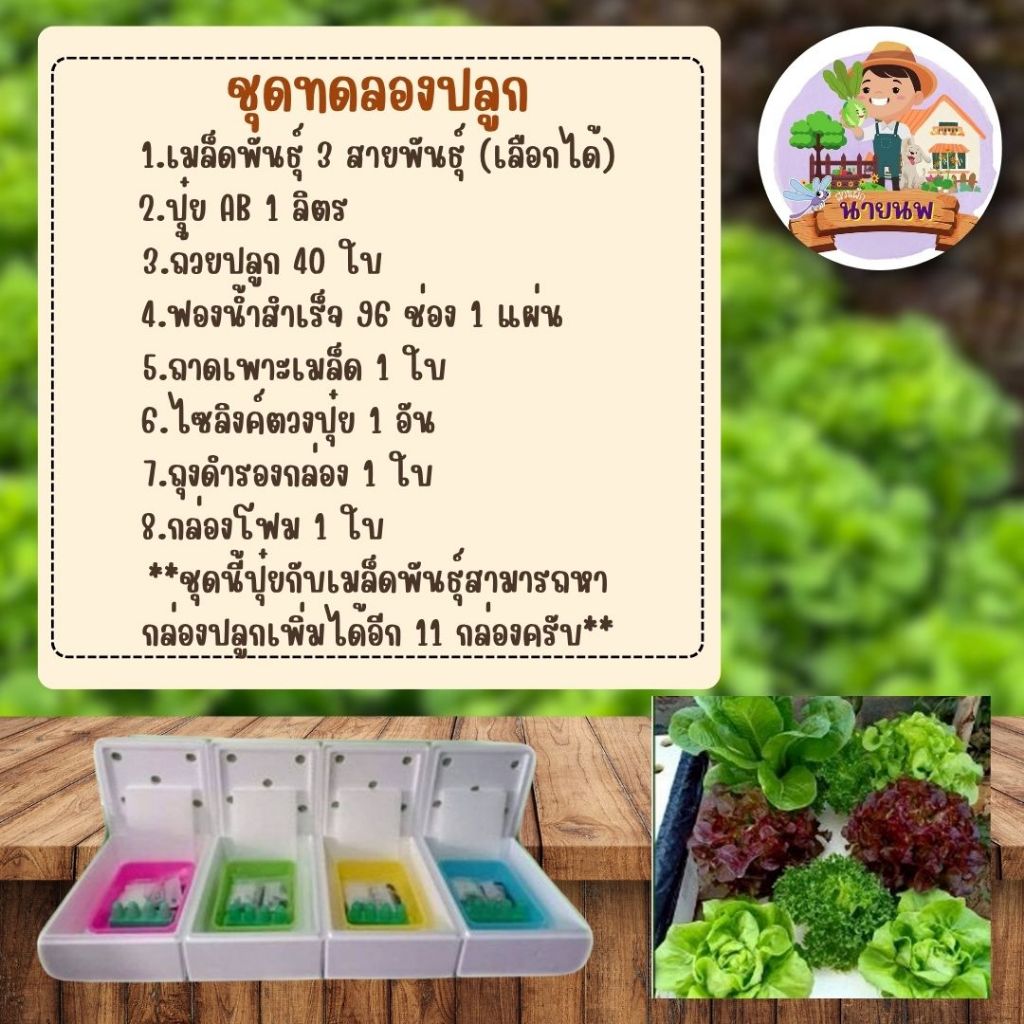 ชุดทดลงปลูก สำหรับมือใหม่ ได้อุปกรณ์ครบเซต