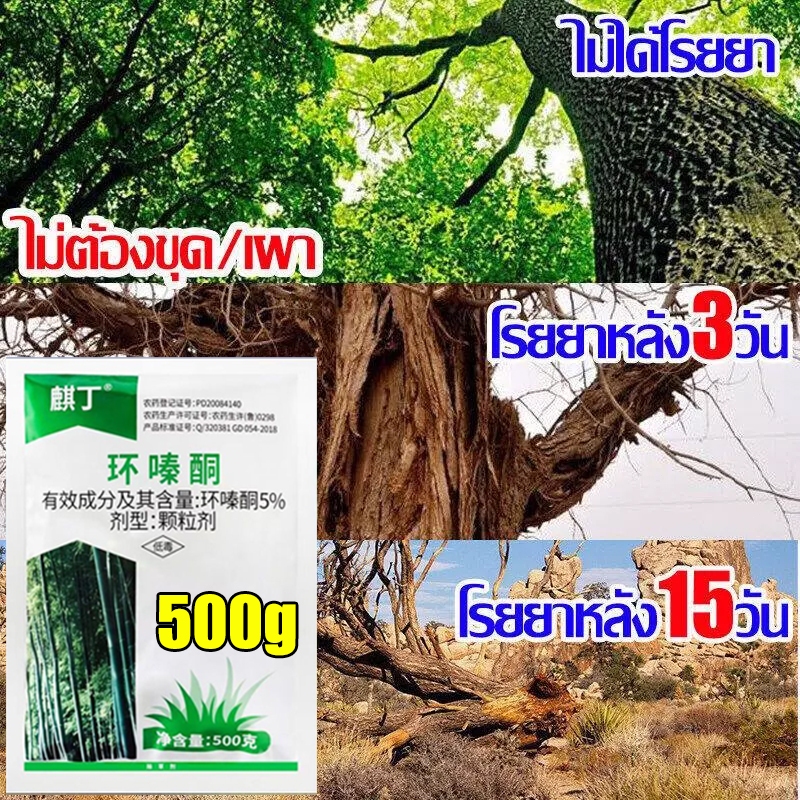 💥100% รากไม้เน่า ยาฆ่าต้นไม้ใหญ 500g ตรงไปที่ราก   ไม่เป็นอันตรายต่อดิน สร้างมาเพื่อฤดูฝน ยากำจัดต้นไม้ใหญ่ ยาฆ่าตอไม้