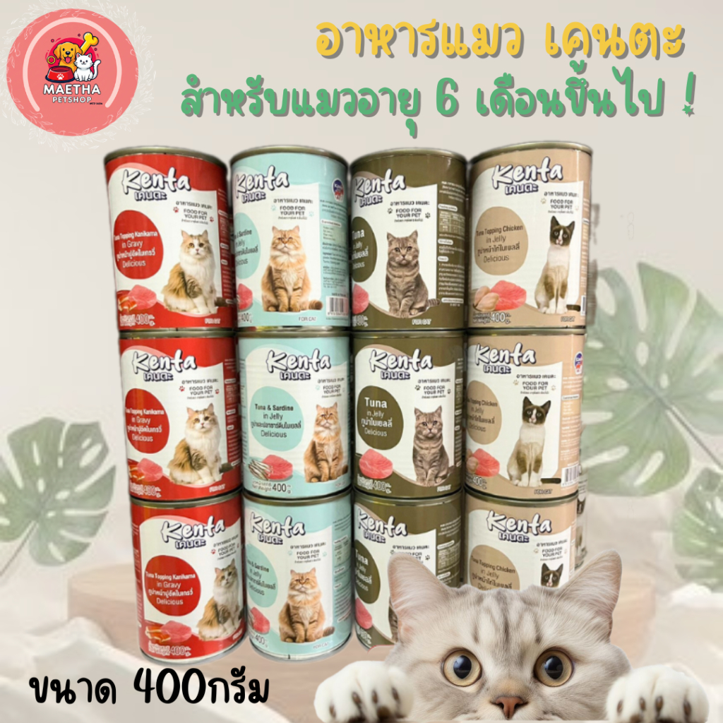 อาหารป๋องสำหรับแมวน้องใหม่ เคนตะ ขนาด400กรัม
