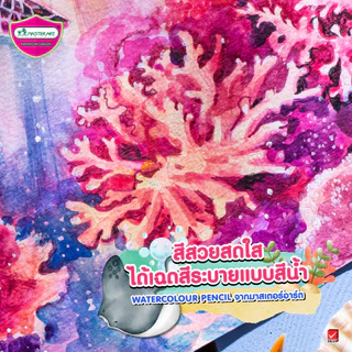 Master Art สีไม้ สีไม้ระบายน้ำ 48 สี จำนวน 1 กล่อง