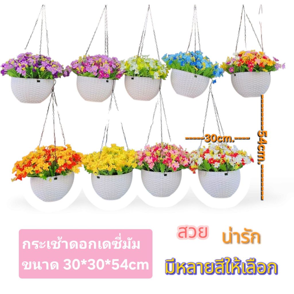 🚀ส่งเร็ว🚀กระเช้าพลาสติกสีขาว ใส่ ดอกเดซี่มัม และ เดซี่ยิปโซ (ขนาด 30*30*54 cm.รวมโซ่แขวน) มีหลายสีให้เลือก