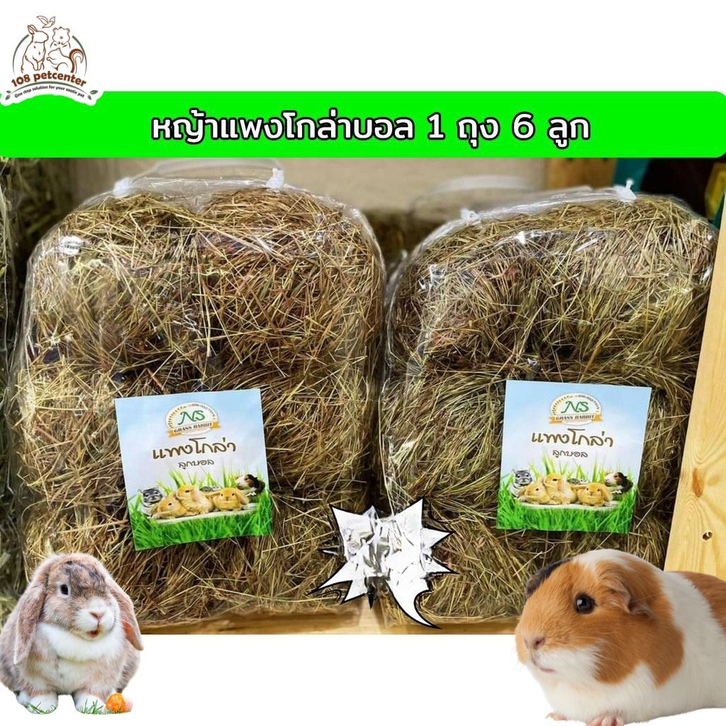 หญ้าแพงโกล่าบอล​  หญ้าแพงโกล่าอบแห้งสำหรับกระต่าย 1ถุง​ 6​ ลูก​ สะดวก ปลอดภัย สะอาด ราคา ถูกที่สุด ดีลบีเคเค