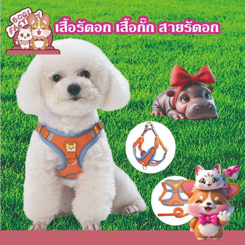 Boqi Factory เสื้อรัดอก เสื้อกั๊ก สายรัดอก ชุดรัดอก สุนัข หมา แมว พร้อมสายจูง แบบสวมใส่ง่าย  มีหลายส