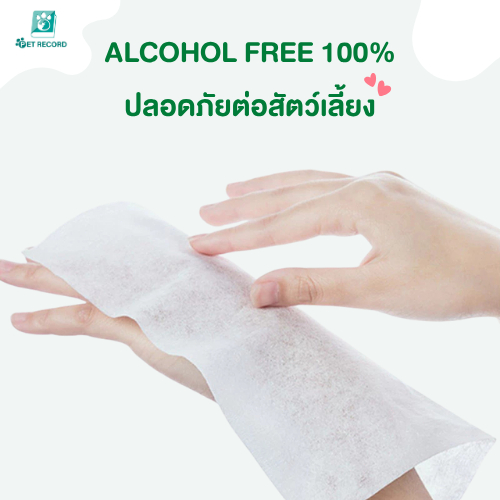 Pet Record ทิชชู่เปียก 80 แผ่น แผ่นเช็ดแมว ทิชชู่หมา Pet wipes ทิชชู่เปียกสัตว์เลี้ยง สำหรับเช็ดสัตว์เลี้ยง - ภาพย่อย 4