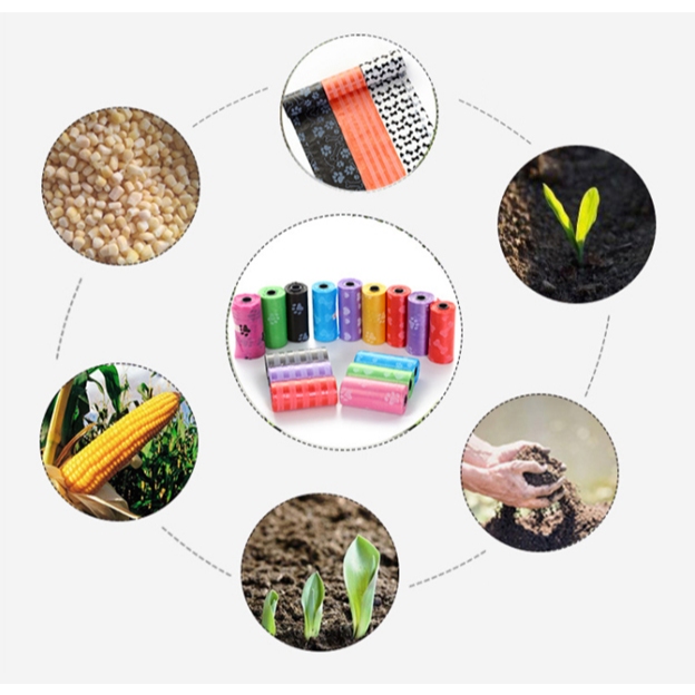 รูปภาพ 2