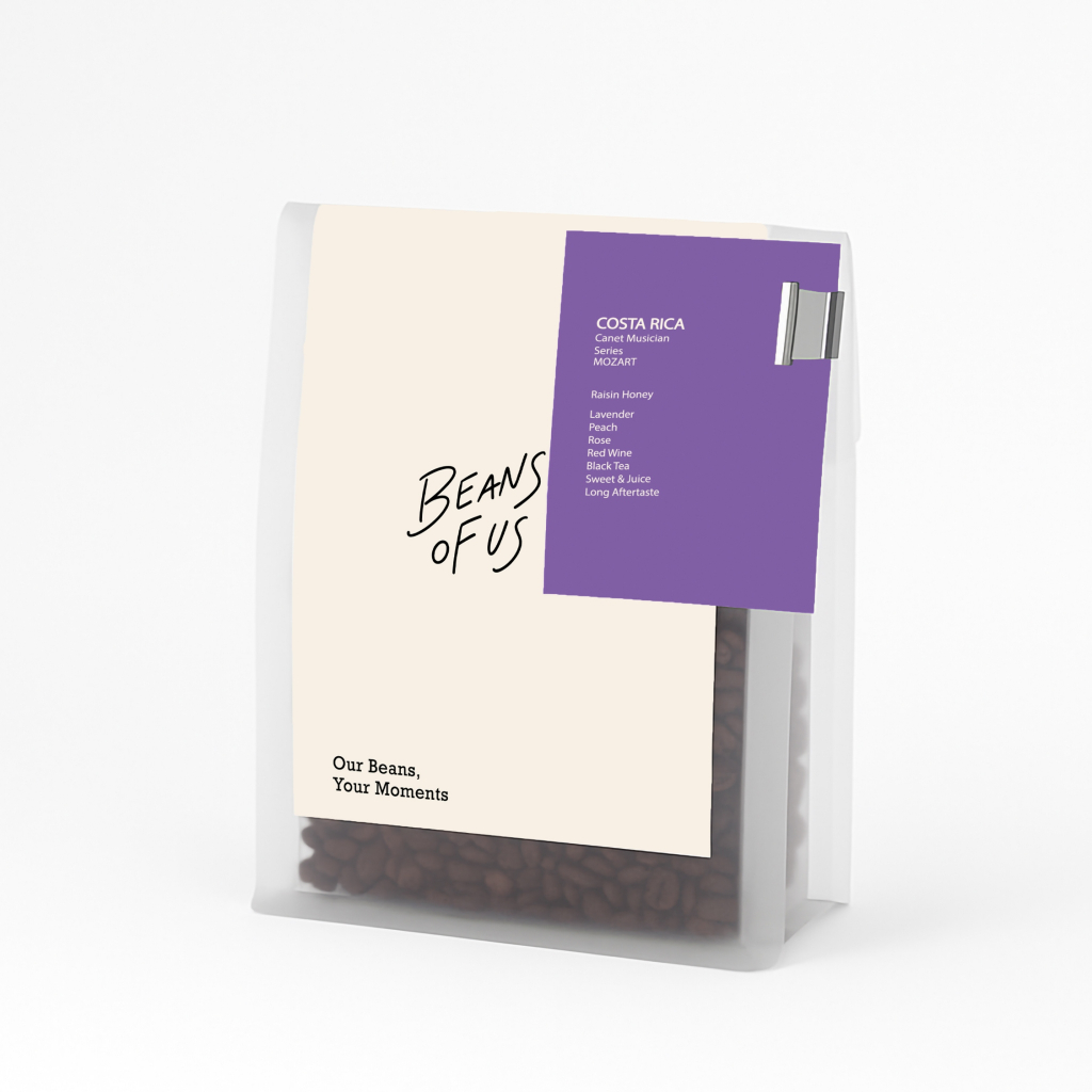 BEANS OF US COFFEE ROASTER เมล็ดกาแฟ อาราบิก้า Single Origin | Costa Rica Mozart | Anaerobic + Raisi