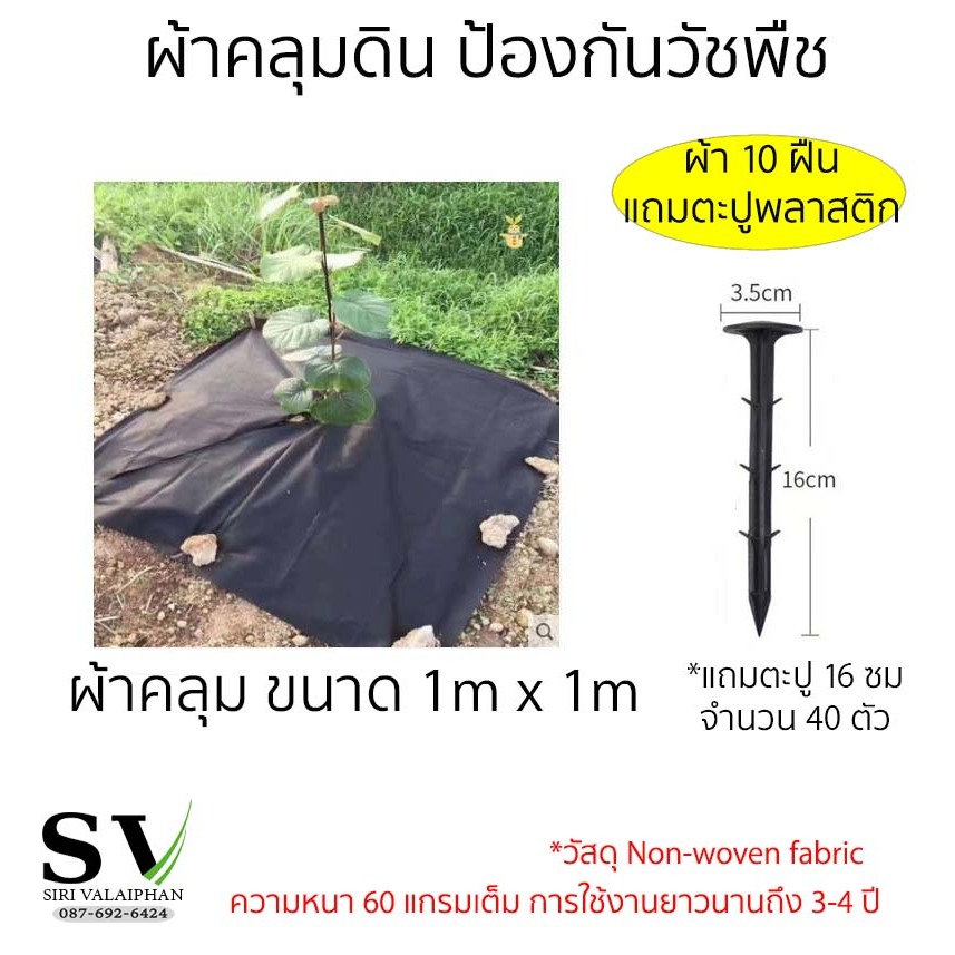 ผ้าคลุมดิน ป้องกันการเติบโตของวัชพืช แพ็ค 10 ฝืน แถมตะปู 40 ตัว ผ้าหนา 60 แกรม ขนาด 1x1 m น้ำผ่านได้ เหนียว ทนแดดฝน