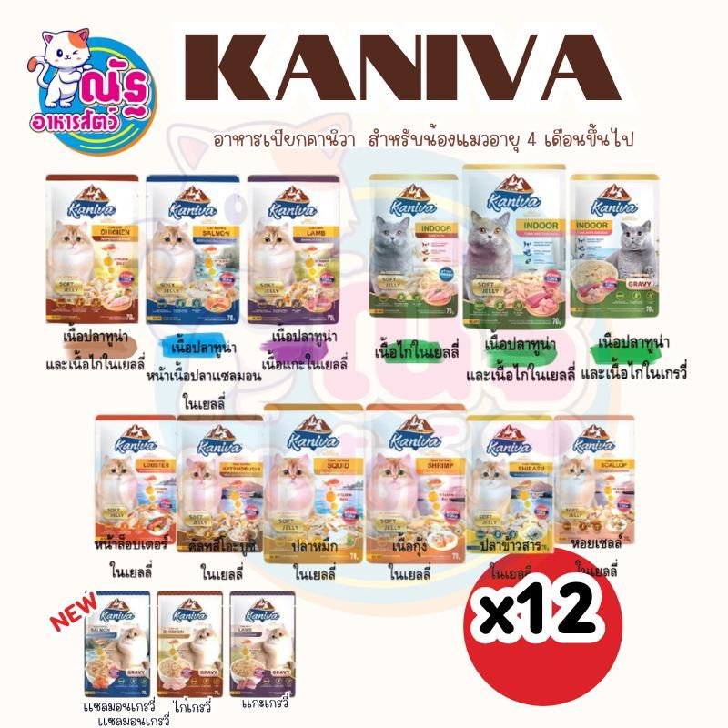 Kaniva Pouch อาหารแมวเปียก คานิว่า มี Vitamin Balls ขนาด 70 กรัม X 48 ซอง (ยกลัง)