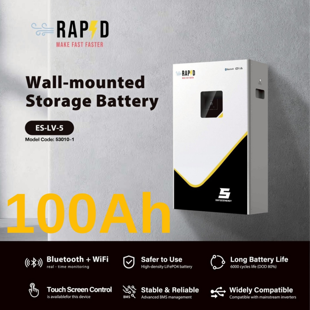 RAPD Li - BATTERY WALL TYPE 100Ah - 51.2 V (NEW) ส่งฟรี
