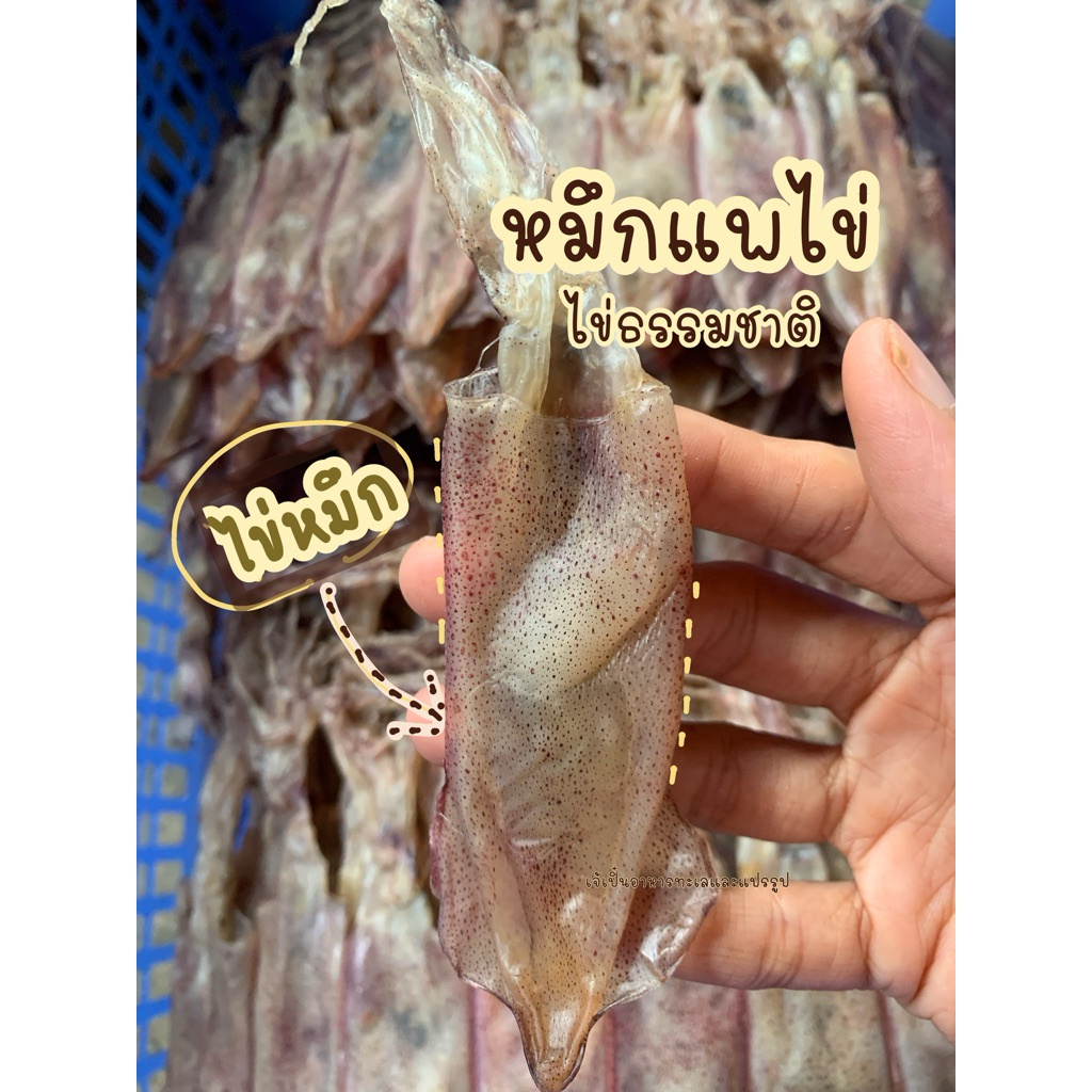 หมึกแพไข่  ไข่จริง ไข่ธรรมชาติ ของหมึก ไม่ใช่ไข่ยัด ค่ะ จาก บ้านเพระยอง