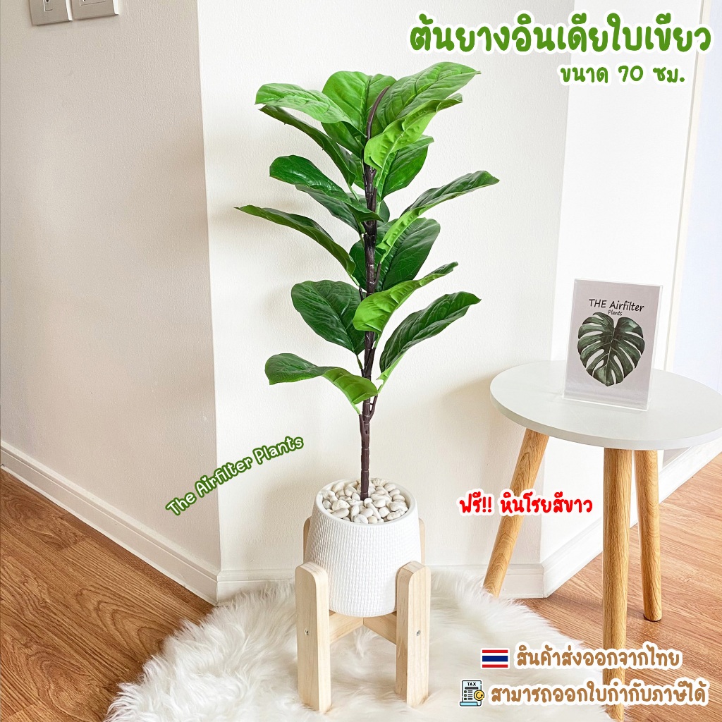 ต้นไม้ปลอม(ฟรี!!หินโรย) ต้นยางอินเดียใบเขียว70-78ซม. ตั้งหน้าทีวี ตั้งพื้นและหัวเตียง ต้นไม้มงคล พร้อมกระถางและหินสีขาว