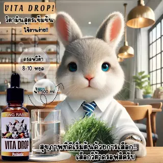 🎉best 1st🎉 vita drop วิตตามินสำหรับกระต่าย หนูแกสบี้ แฮมเตอร์ รวมถึงสัตว์ฟันแทะทุกชนิด เป็นสูตรเข้มข้น 30ML