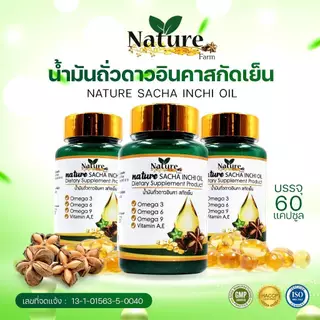 Nature SACHA INCHI OIL น้ำมันถั่วดาวอินคา สกัดเย็น 60 แคปซูล ซอฟเจล