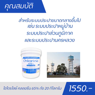 คลอรีนผง 65% ถัง 20 kg สำหรับประปาขนาดกลางขึ้นไป ฆ่าเชื้อโรคแบคทีเรีย แก้น้ำเหม็นคาว