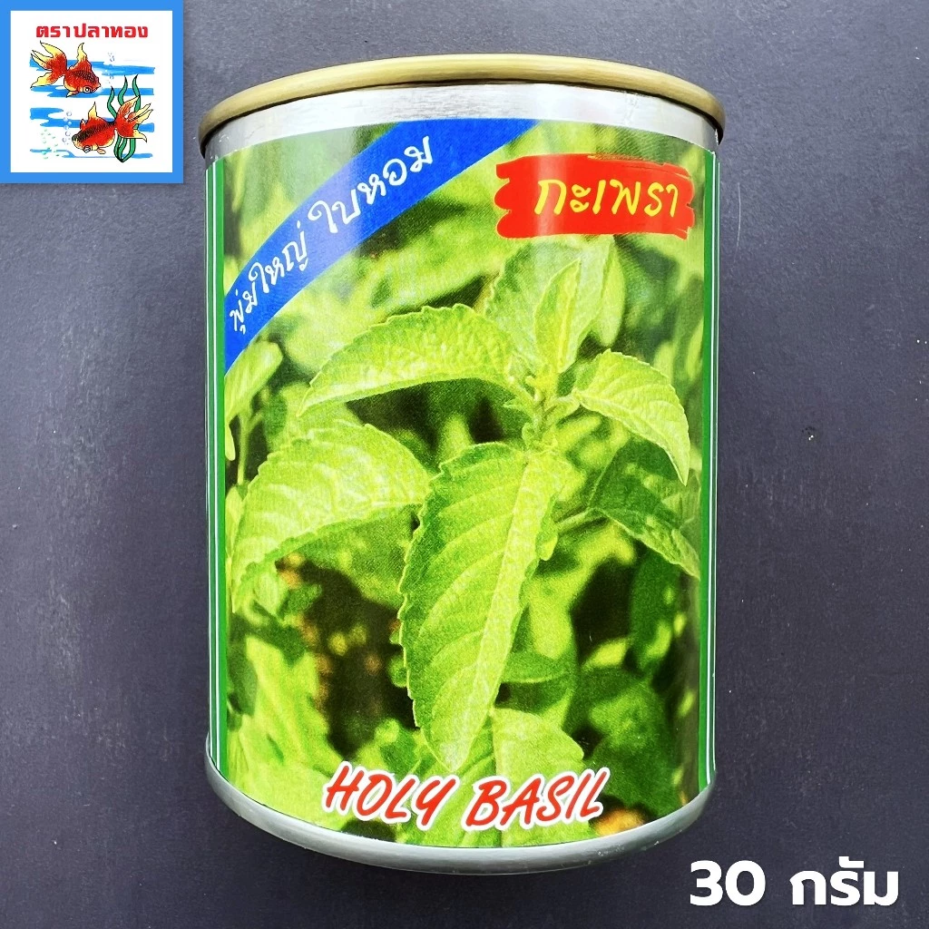 เมล็ดกะเพราขาว ใบกระเพรา กลิ่นหอม กระป๋อง ขนาด 30 กรัม ตราปลาทอง