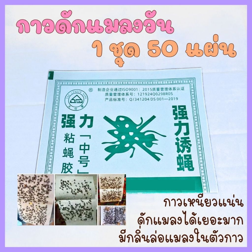 ชุด 50 แผ่น ของแท้! กาวดักแมลงวัน ชนิดแผ่นกระดาษ รุ่นแผ่นเขียว กาวเหนียวไม่เยิ้ม กระดาษกาวดักแมลงวัน กาวดักแมลง