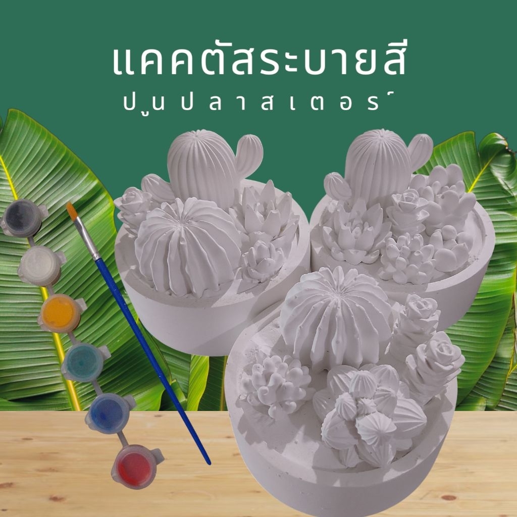 แคคตัสระบายสี ทำจากปูนปลาสเตอร์ เสริมพัฒนาการ มีหลายแบบเลื่อนดูก่อนได้ค่ะ