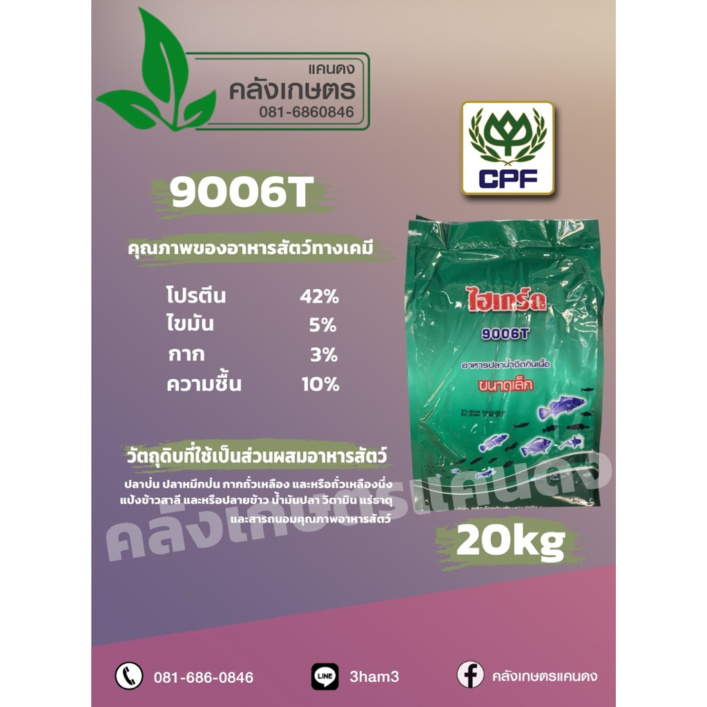 อาหารกบ ลูกอ๊อด กบเล็ก กบกลาง กบใหญ่ CP ดีย์ฟล็อกซ์ ไฮเกร์ด บรรจุ 800g.และ 5KG. กบโตไวมั่นใจซีพี รูปที่ 7