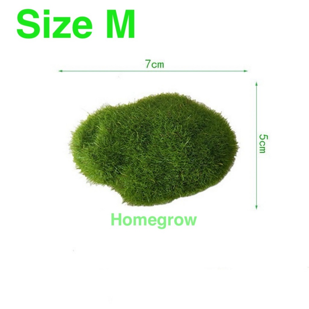 มอส มอสเทียม หญ้าปลอม หญ้าเทียม อุปกรณ์จัดสวนจิ๋ว สวนถาด ตู้ปลา - รูปที่ 6