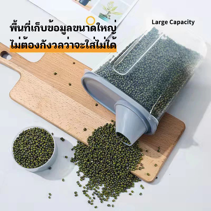 รูปภาพ 8