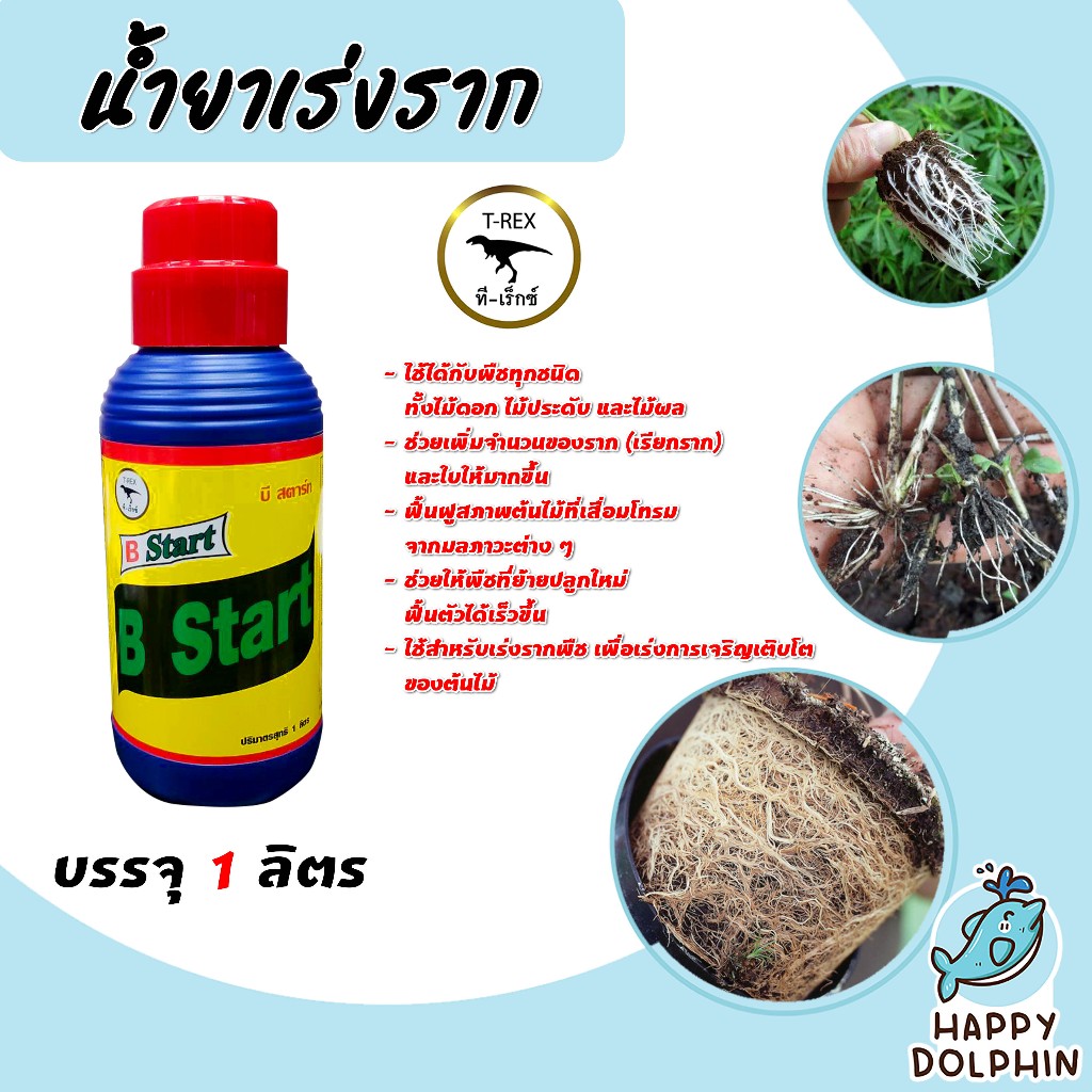 น้ำยาเร่งราก ทีเร็กซ์ วิตามินบี-1 B1 มีให้เลือก ขนาด1ลิตร/4ลิตร (Root supplement)บีวัน-สตาร์ท
