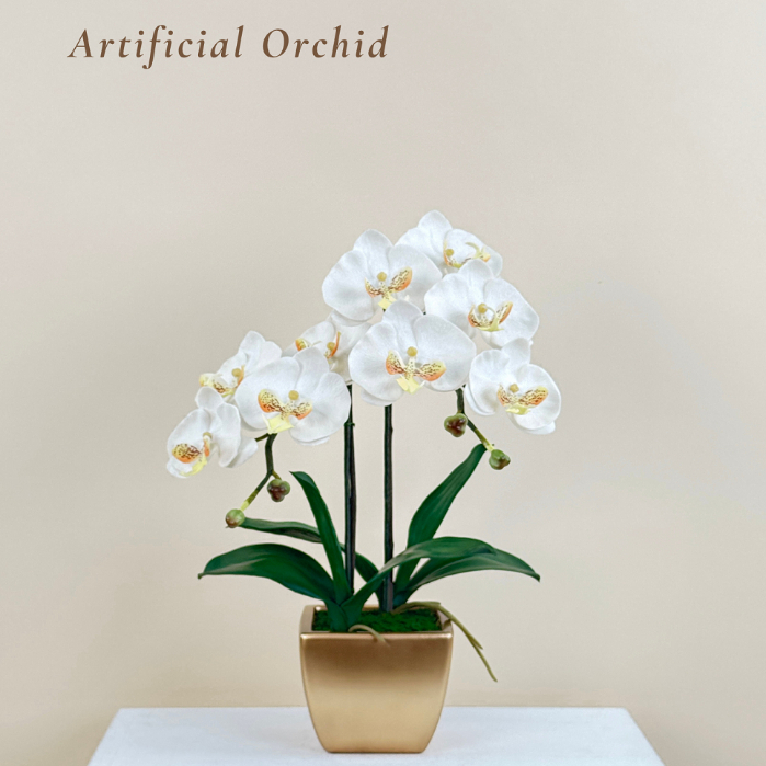 กระถางดอกไม้ปลอมมินิมอล กล้วยไม้พร้อมกระถางเซรามิค