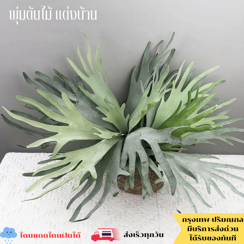 พุ่มต้นไม้ปลอม ต้นชายผ้าสีดา ต้นไม้ปลอมแต่งบ้าน โดนแดน โดนฝนได้ (พร้อมส่ง) (PUM)
