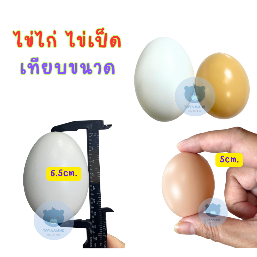 Toynamus  ไข่ไก่ของเล่น ไข่ไก่ ไข่เป็ด ใบใหญ่ บรรจุถุงตาข่าย
