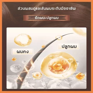 ซื้อ 1 แถม 1สินค้านำเข้าPEIMEI แชมพูแก้ผมร่วง แชมพูสมุนไพรขิงบำรุงผม250ml แชมพูปลูกผม ยาสระผมแก้ร่วง แชมพูขิงเพียว แชมพู