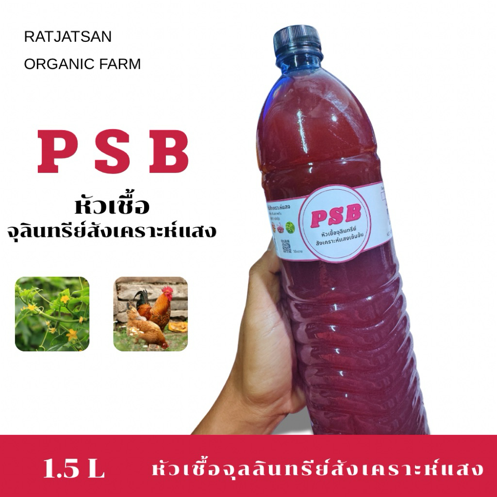 จุลินทรีย์ PSB จุลินทรีย์สังเคราะห์แสง หัวเชื้อจุลินทรีย์สังเคราะห์แสง (1.5L.)