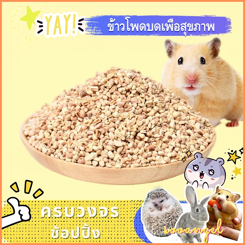 【sooangel】เม็ดซังข้าวโพดรองกรงแฮมสเตอร์ 1kg เกรดพรีเมียม ธรรมชาติ ดูดซับความชื้นดี ลดกลิ่นอับในกรง