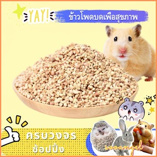 ที่นอนสำหรับหนูแฮมสเตอร์แบบซังข้าวโพด ขจัดกลิ่น ปราศจากฝุ่น …