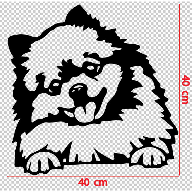 สติกเกอร์ ตัด ลายเส้น หมา สุนัข ปอม 40 x 40 ซม. สติ๊กเกอร์ ปอมเมอเรเนียน Pomeranian Dog วัสดุ PVC กันน้ำ