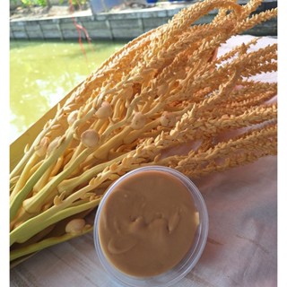 น้ำตาลมะพร้าวแท้ ทำจากน้ำช่อดอกมะพร้าว100%เพื่อสุขภาพดัชนีมว…