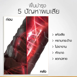 [แพ็กคู่] ลอรีอัล ปารีส L'Oréal Paris Elseve Total Repair 5 แชมพู 360มล.+ ครีมนวด 375มล.ฟื้นบำรุงผมเสียล้ำลึกด้วยเคราติน