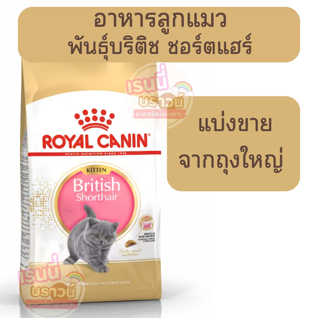 ส่งด่วนมาก⚡️[[ลูกแมวบริติช ชอร์ตแฮร์]] ((แบ่งขาย))Royal Canin Kitten British Shorthair อาหารลูกแมวบริติช 4-12เดือน