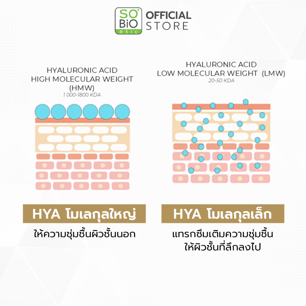 SO'BiO etic Argan Cream มอยส์เจอร์ไรเซอร์ อาร์แกนครีม ฟื้นฟูผิวแห้ง ให้ผิวอิ่มฟู ลดริ้วรอย (SB-001) - รูปที่ 2