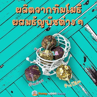 คุกกี้ทิมโมธีโฮมเมด หน้าผักผลไม้ดอกไม้ ขนมสำหรับสัตว์ฟันแทะ กระต่าย แกสบี้ ชินชิล่า