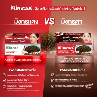 เซ็ตใหญ่ ลดเลือนรอยดำรอยแดง Puricas Scar Gel 20g + Intensive Dark Spot 20g.
