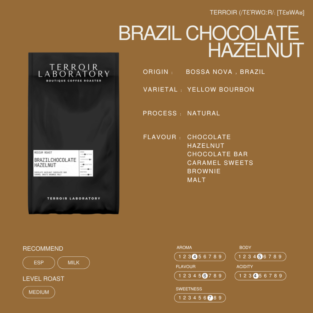 Brazil Chocolate Hazelnut | MEDIUM ROAST | กาแฟ Blend