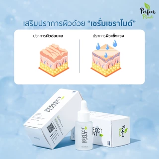 DR.NAME X Perfect Plant 8D HYA+Ceramide Moisturizer ไฮยา มอยส์เจอไรเซอร์ ผิวชุ่มชื้น บำรุงผิว 20 ML