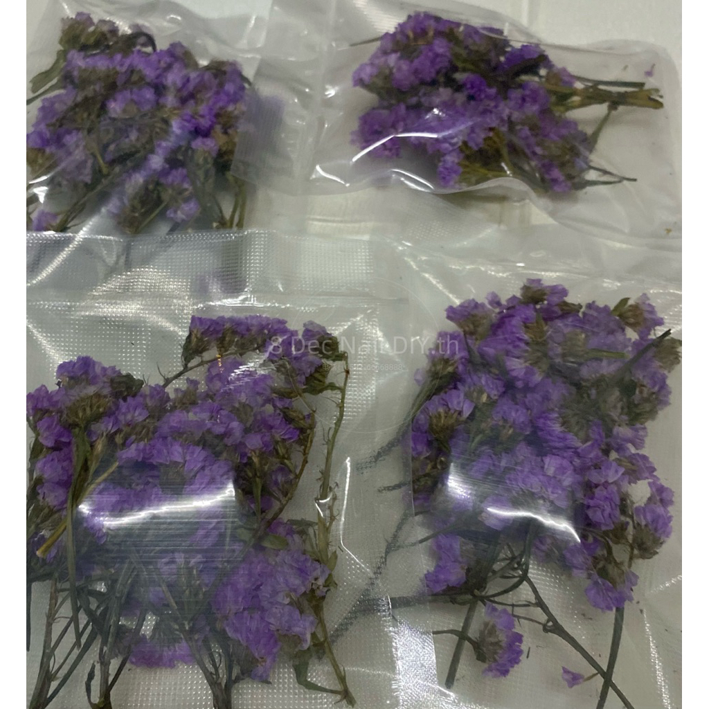 ดอกไม้แห้งประดิษฐ์งานDIYพร้อมส่ง🇹🇭