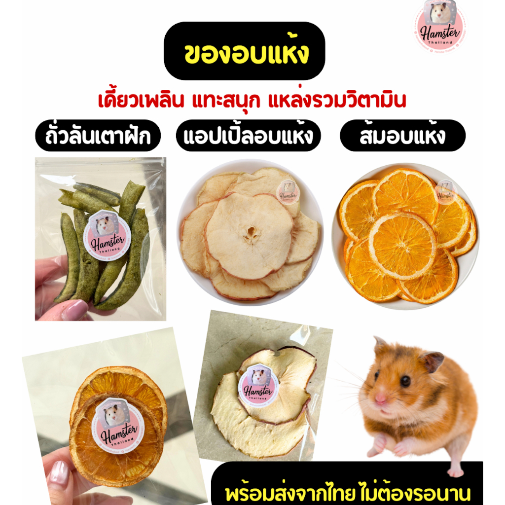 Hamsterthailand แอปเปิ้ล ถั่วลันเตา ส้ม อบแห้ง ขนม อาหารแฮมสเตอร์  ผลไม้อบแห้ง  ลับฟัน สัตว์ฟันแทะ