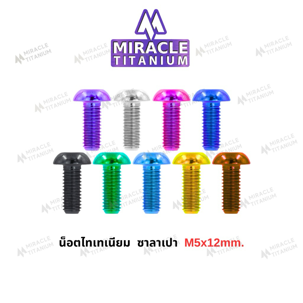 Button Head หัวซาลาเปา M5 x 12 mm