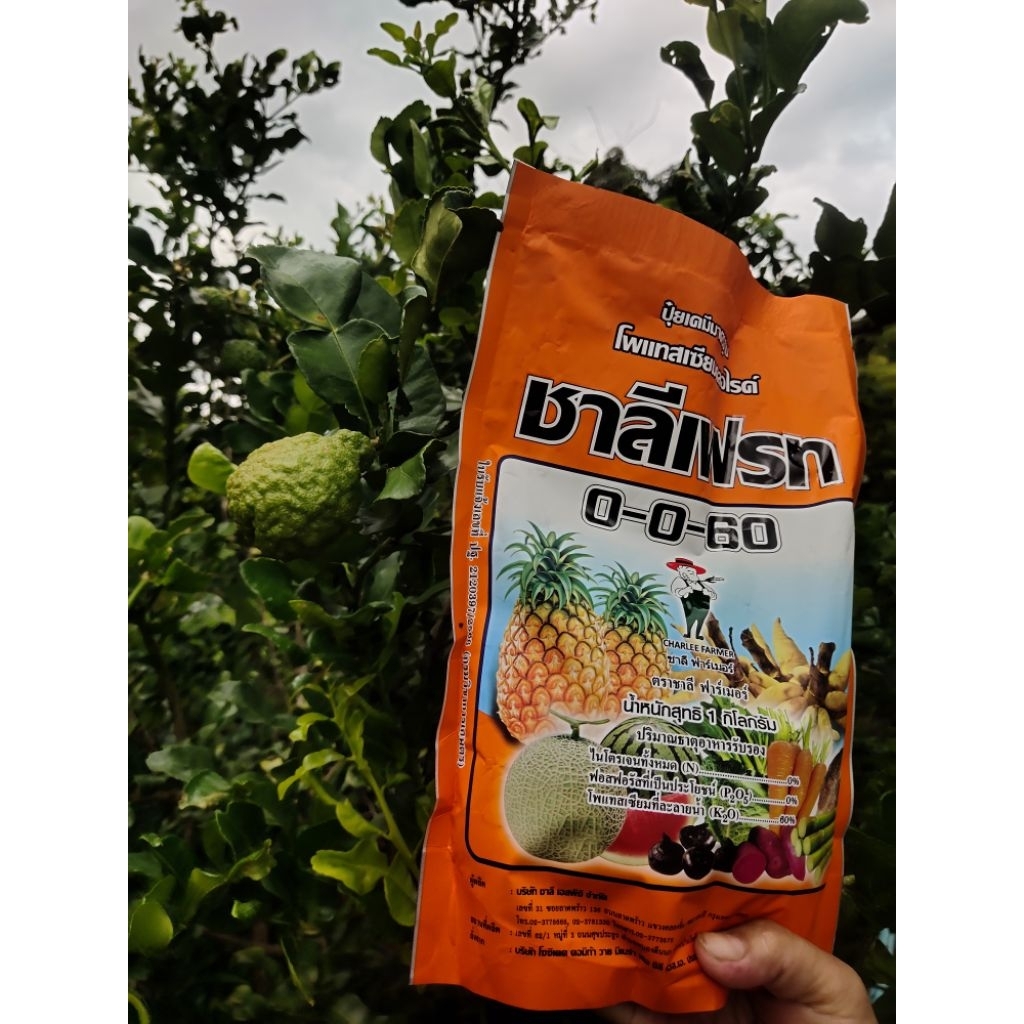 ปุ๋ย 0 0 60 ชาลีเฟรท