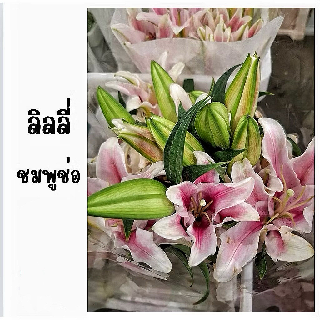 ดอกไม้สด พร้อมส่ง ราคาถูก ลิลลี่ช่อ ลิลลี่เดี่ยว  สีขาว ชมพู เหลือง กลิ่นหอมอ่อน เหมาะเป็นของขวัญ - รูปที่ 4