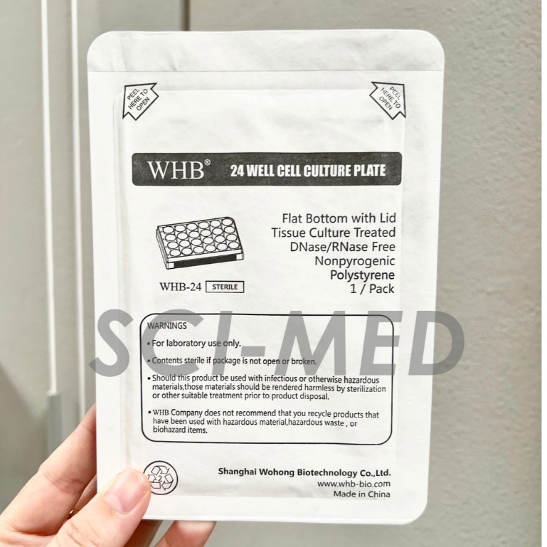 24 well plate (Cell Culture Plate) 24 หลุม