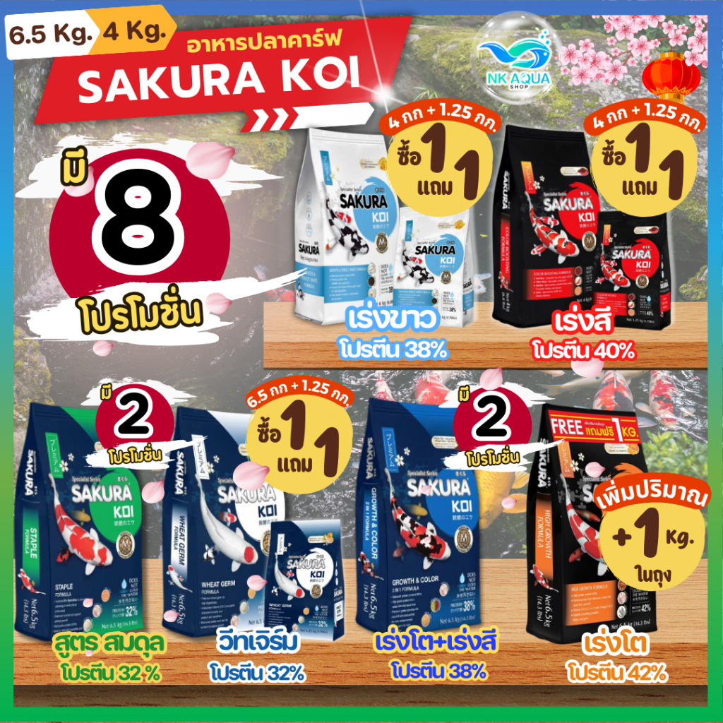 💥มี 8 โปร❗ อาหารปลาคาร์ฟซากุระ โค่ย (Sakura Koi) ขนาด 4 กก. และ 6.5 กก.