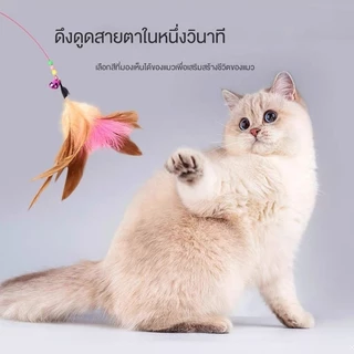 ของเล่นแมว ไม้ตกแมว แบบสปริง ไม้ล่อแมว แบบลวดสลิง ไม้แมว